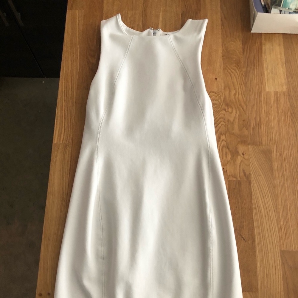 Babaton Miguel Dress